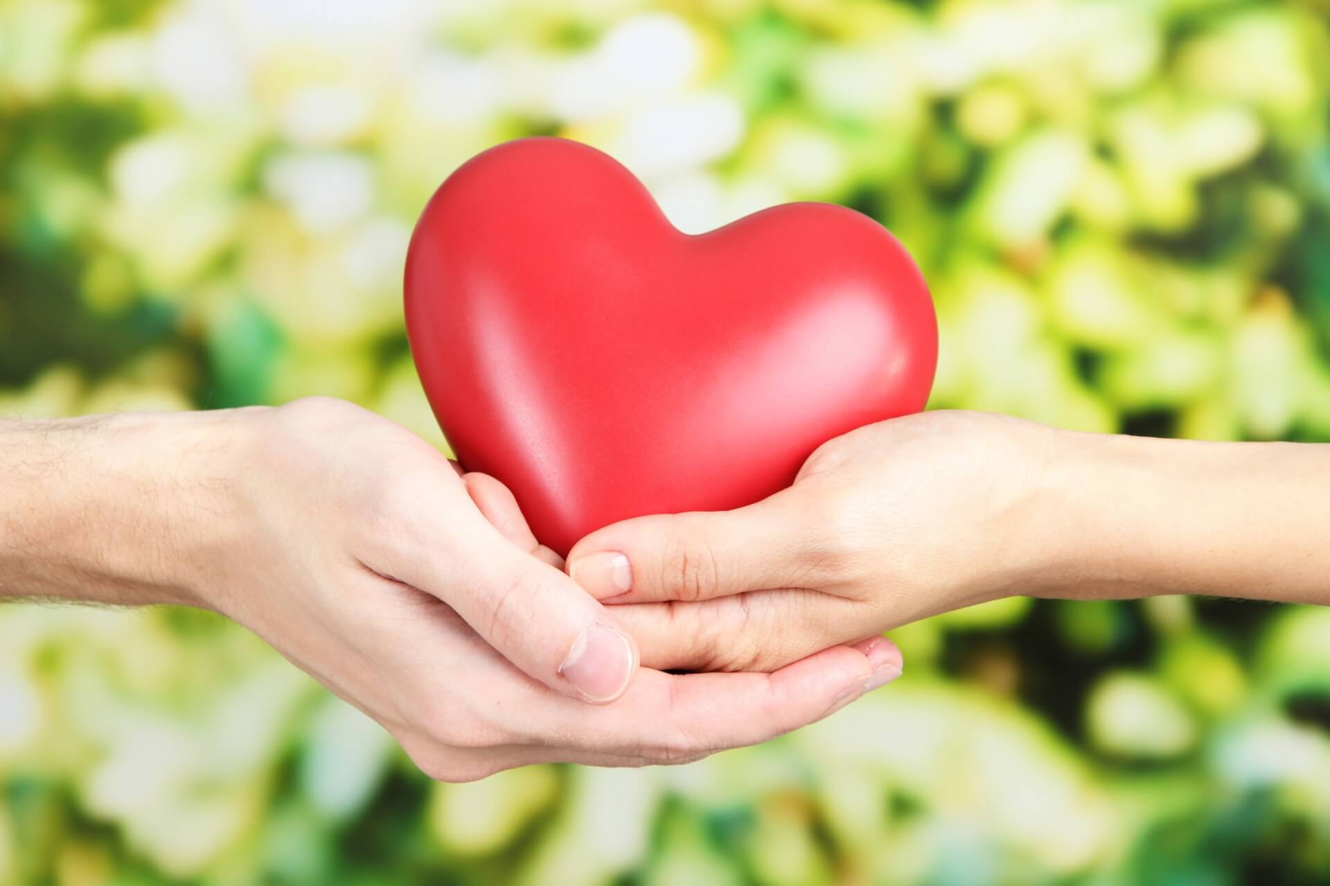 Two people holding a heart symbolizing cardiac care