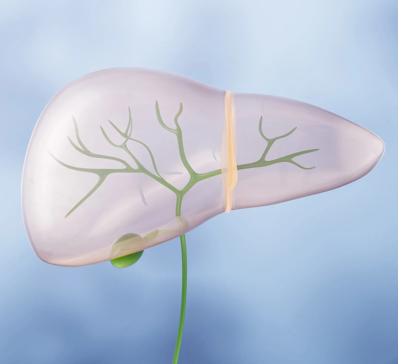 Hepatology-thumbnail
